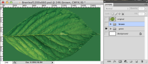 Edited Leaf, trying to match the colour